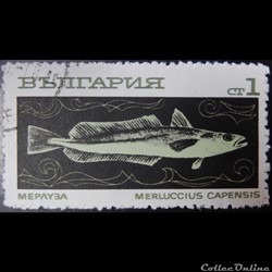 Bulgarie 01733 merlu du Cap 1CT de 1969