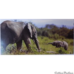 CP Animaux, Eléphants