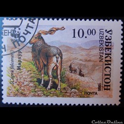 Ouzbékistan00061AC Markhor 10.00 Som de 1995