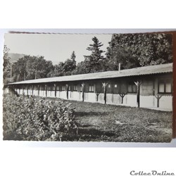CPA de Guebwiller, camp des Vosges, Haut-Rhin