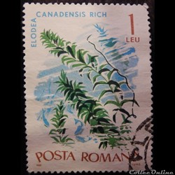Roumanie 02235 Elodée du Canada 1 Lei de 1966