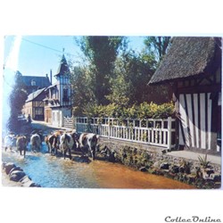 CPA de Seine-Maritime, Veules-les-Roses