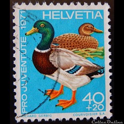 Suisse 00894 Canard Colvert 40+20cts de 1971