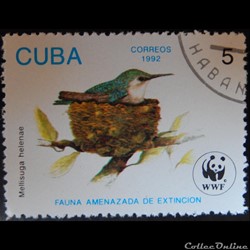 Cuba 03224 Colibri d'Elena 5c de 1992