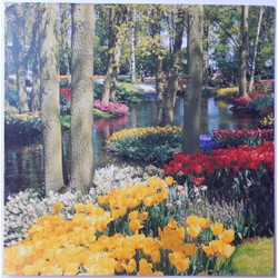 CP des Pays-Bas, Hollande méridionale, Keukenhof