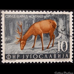 Yougoslavie 00645 Cerf Elaphe 10 Din de 1954