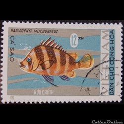Viet-Nam 00544 poisson 12xu de 1967