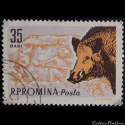 Roumanie 01783 Sanglier 35 Bani de 1961