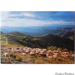 CP de Lozère, Les Cévennes