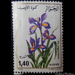Algérie 00883 Iris d'Alger 1.40d de 1986