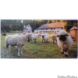 CP de Suisse, Berne, Brienzwiler