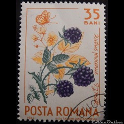 Roumanie 02085 Ronce bleue et papillon 35 Bani de 1964