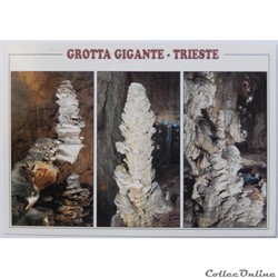 CP d'Italie, Trieste
