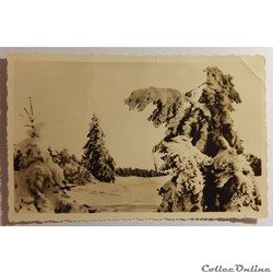 CPA du Champ-du-Feu en hiver, Bas-Rhin
