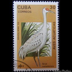 Cuba 03311 Grue du Canada 30c de 1993