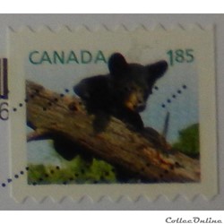 Canada 02806 Ours noir 1.85$ de 2013