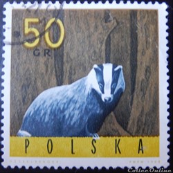 Pologne 01486 Blaireau 50Gr de 1965