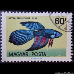 Hongrie 01498 Poisson tropical 60f de 1962