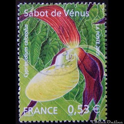 03764 Sabot de Vénus Cypripedium calceolus 0.53€