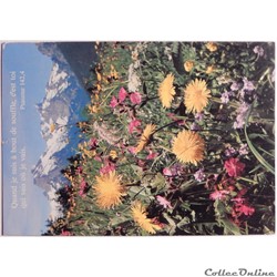 CP Citation biblique, Fleurs des champs