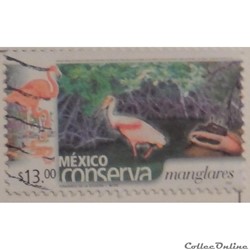 Mexique 03119 mangroves 13$ de 2005