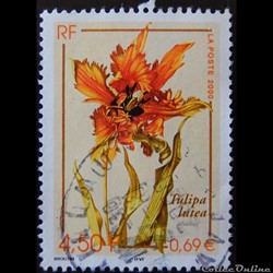 03335 Faune et flore Tulipa lutea 4F50 - 0.69€