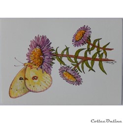 CP Peinture