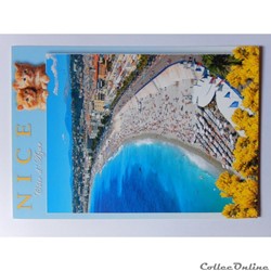CP des Alpes-Maritimes, Nice