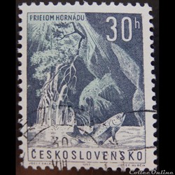 Tchécoslovaquie 01285 truite, vallée de Hornad 30 h de 1963
