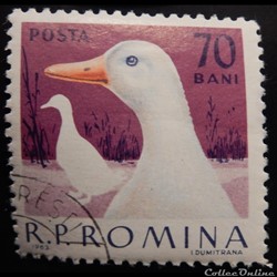 Roumanie 01912 Oie 70 Bani de 1963