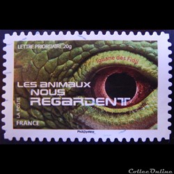 AA01159 Iguane des Fidji 20g