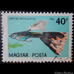 Hongrie 01497 Poisson tropical 40f de 1962