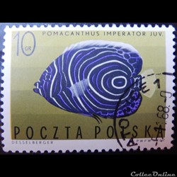 Pologne 01599 Ange de mer impérial 10Gr de 1967