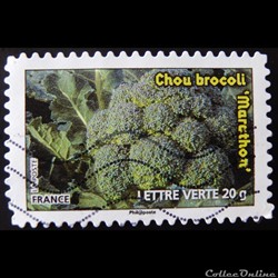 AA00743 Chou brocoli 20g