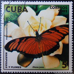 Cuba 04107 papillon Dione Juno 5c de 2003