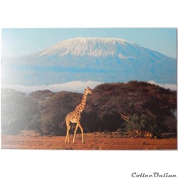 CP de Tanzanie, le Kilimanjaro