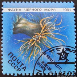 URSS 05819 Anémone de mer 5 k de 1991