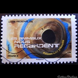 AA01162 Poisson-lime gribouillé 20g