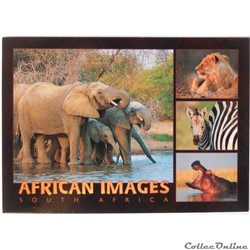 CP d'Afrique du Sud