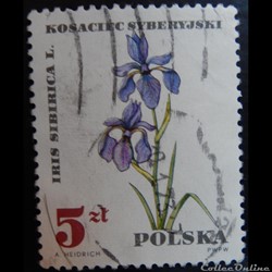 Pologne 01629 Iris de Sibérie 5Zt de 1967