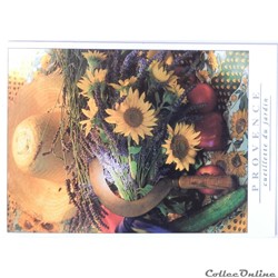 CP Provence, cueillette du jardin