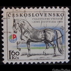 Tchécoslovaquie 02174 Etalon Kladruby 1.60 Kcs de 1976