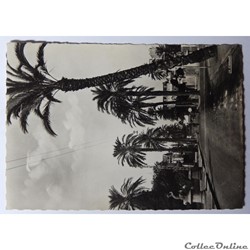 CPA du Var, Hyères, avenue de Belgique