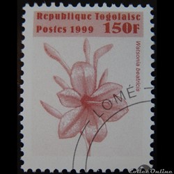 Togo 01688Y Watsonia beatricis 150F de 1999