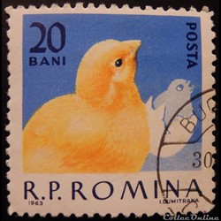 Roumanie 01908 Poussin 20 Bani de 1963