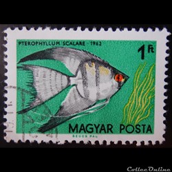Hongrie 01500 Poisson tropical 1ft de 1962