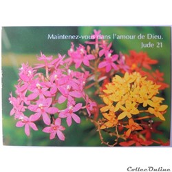 CP Citation biblique, Flore