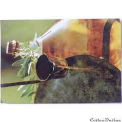 CP Collection Sud