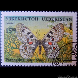Ouzbékistan00061P papillon Apollon 15.00 Som de 1995