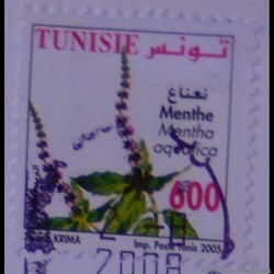 Tunisie 01556 Fleur de Menthe 600LSd de 2005